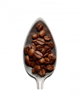 Kopi Luwak beans