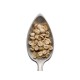 Santos Alta Mogiana Ny2  green coffee