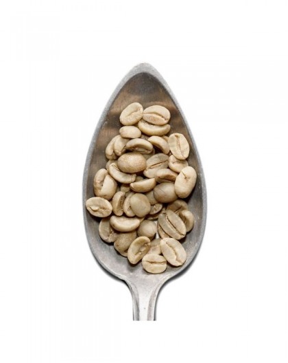 Jamaica Blue Mountain - Raw Green Coffee