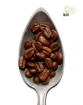 Maragogype Blend Tasting Kit – Whole Beans